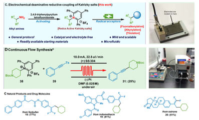 生物與制藥工程學(xué)院郭凱教授團隊在Nature Communications報道微流場電化學(xué)合成領(lǐng)域新進展