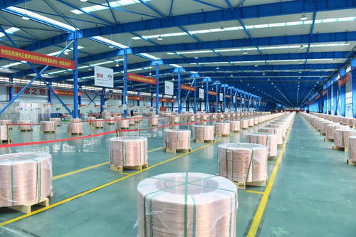 市州沖沖沖⑩ 郴州 郴 勢而上 蝶變進位