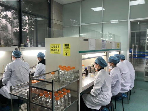 生物選考沖刺提分秘籍 高中生物實(shí)驗(yàn)訓(xùn)練營(yíng)寒假開(kāi)啟，助力未來(lái)生物基材料技術(shù)研發(fā)